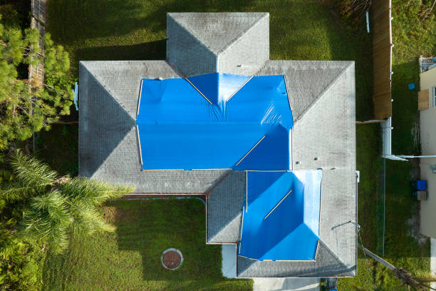 Best Skylight Installation and Repair  in Roebuck, SC