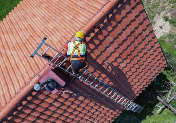 Best Roof Insulation Installation  in Roebuck, SC
